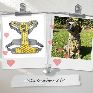 Anti Pull Dog Harness Yellow bones
Dog lead yellow bones
Dog car restraint yellow bones
Pretty yellow bones dog harness
