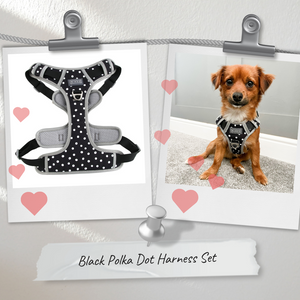Anti Pull Dog Harness Black Polka dot
Dog lead black polka dot
Dog car restraint black polka dot
smart black dog harness