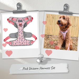 Anti Pull Dog Harness Pink Unicorn
Dog lead pink unicorn
Dog car restraint pink unicorn
Pretty pink dog harness